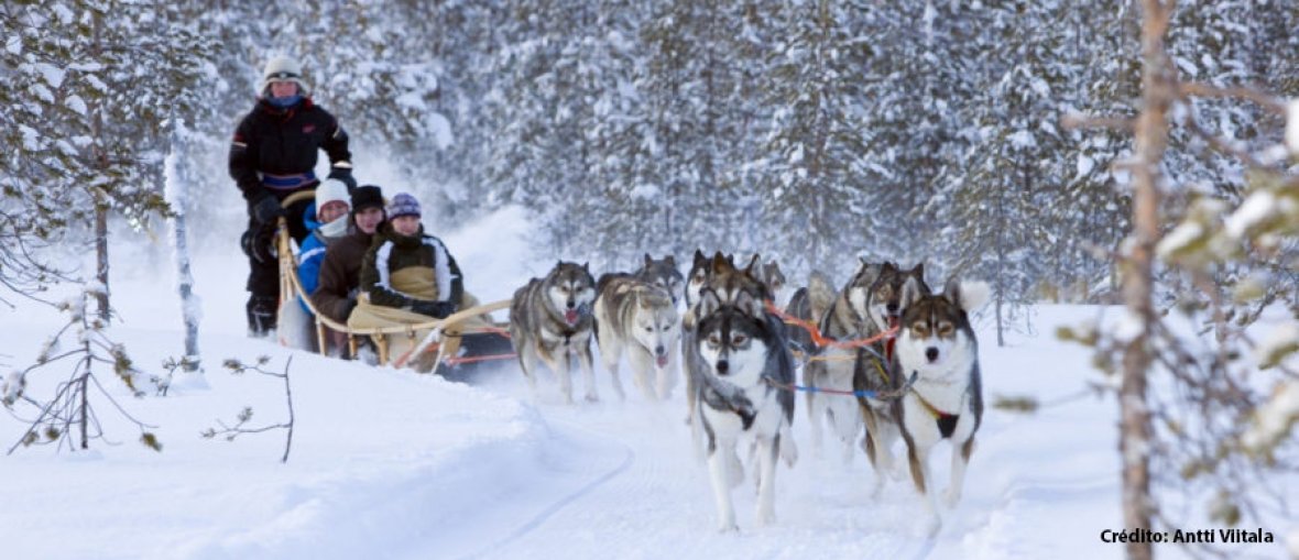 Atividades de Inverno: Esqui, Motoneve e Tradições - inspiração 1