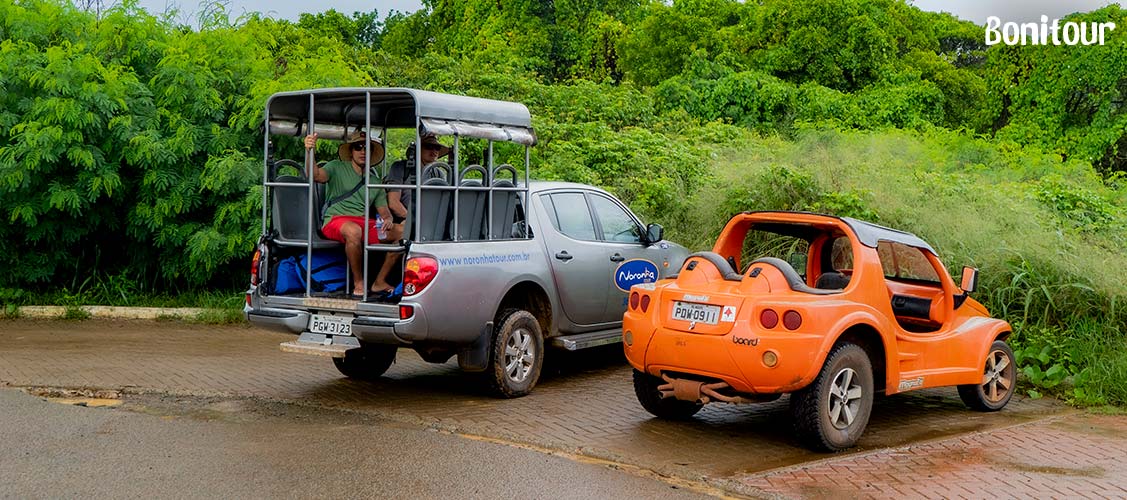 Registrando Memórias: Como Capturar a Essência da Sua Aventura - inspiração 2