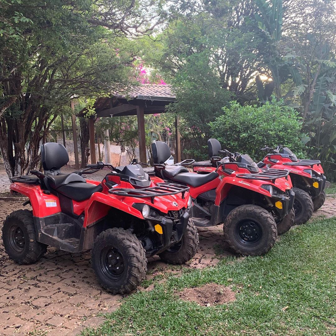 Tecnologia a Seu Favor: Apps e Gadgets que Facilitam a Vida - inspiração 2