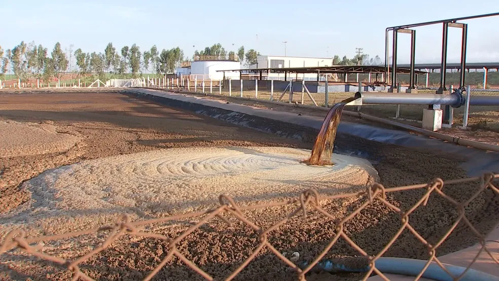 Fertilizante Natural de Alta Performance: Potencialize Seu Solo - inspiração 1