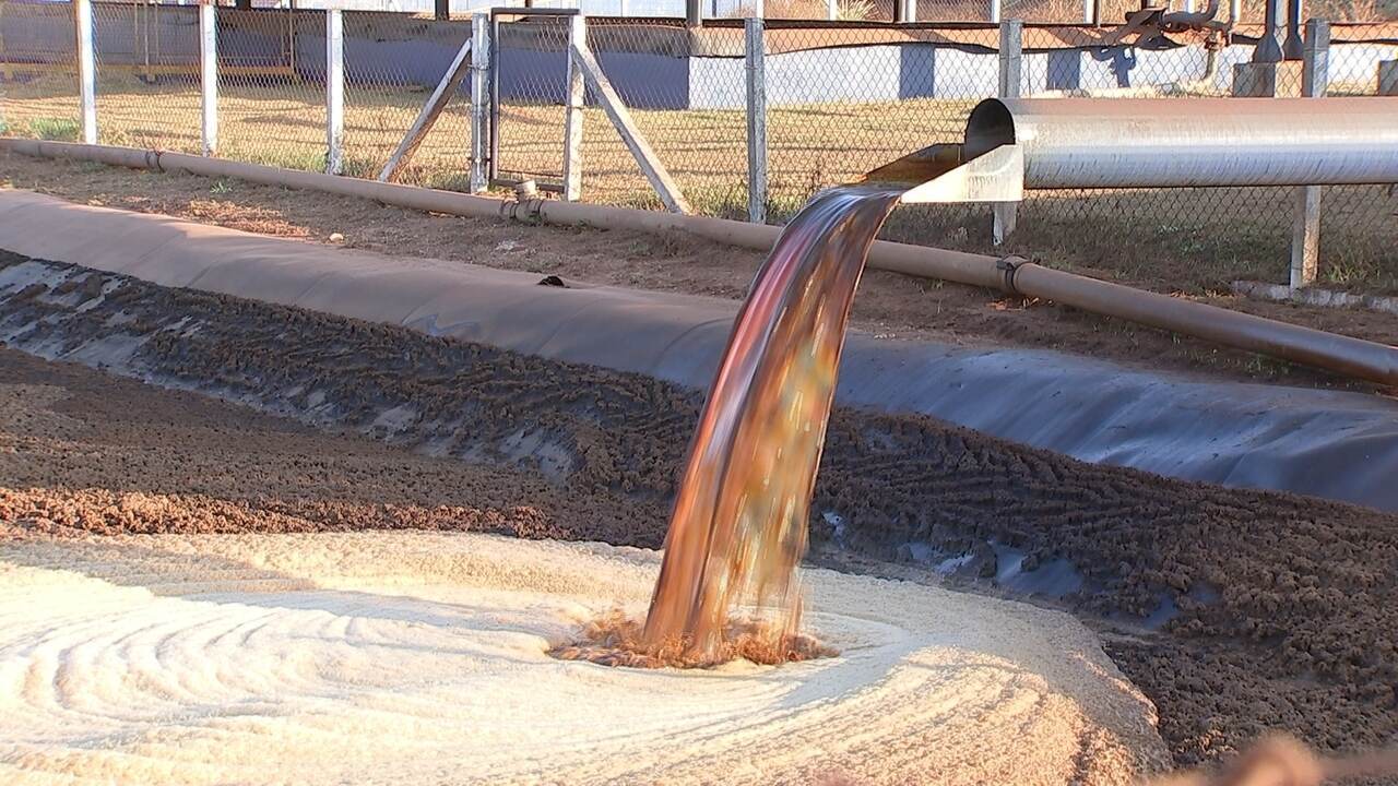 Compostagem Eficiente: Um Ciclo Virtuoso no Campo - inspiração 1