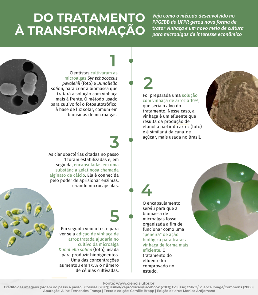 Tratamento de Efluentes: Solução Ecológica para a Água - inspiração 1