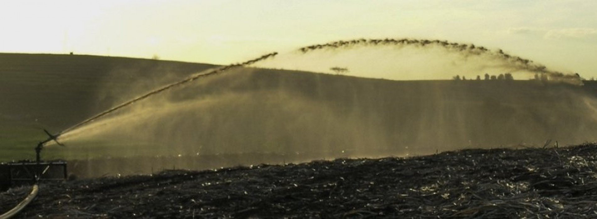 Melhoramento de Pastagens: Nutrição Direta para o Pasto - inspiração 1