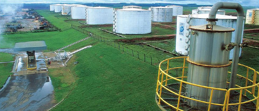 Matéria-Prima para a Indústria: Novos Horizontes Produtivos - inspiração 1