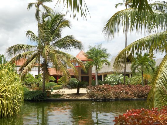 Tipos de Vistos e Seus Propósitos: Turista, Negócios ou Mais? - inspiração 1