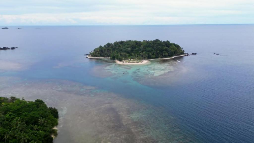 Países do Caribe que Exigem Visto e Como Eles Funcionam - inspiração 2