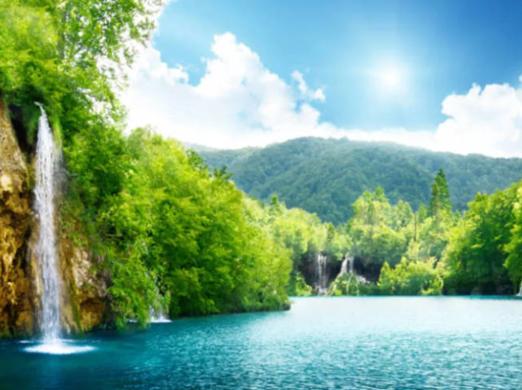 Florestas Encantadas: Mergulhe em Verde e Vida - inspiração 1