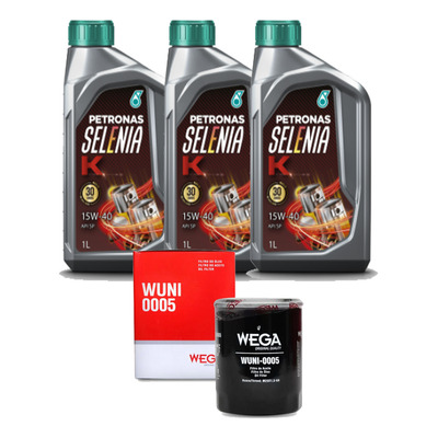 A Importância Vital da Troca de Óleo Regular - inspiração 2