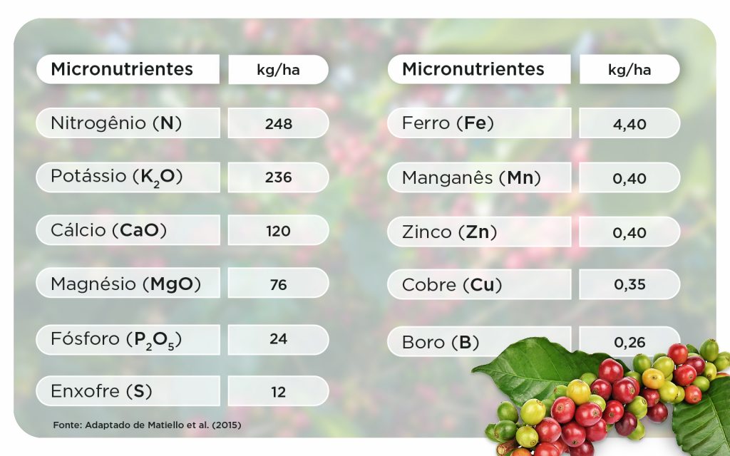 adubação do cafeeiro para alta produtividade