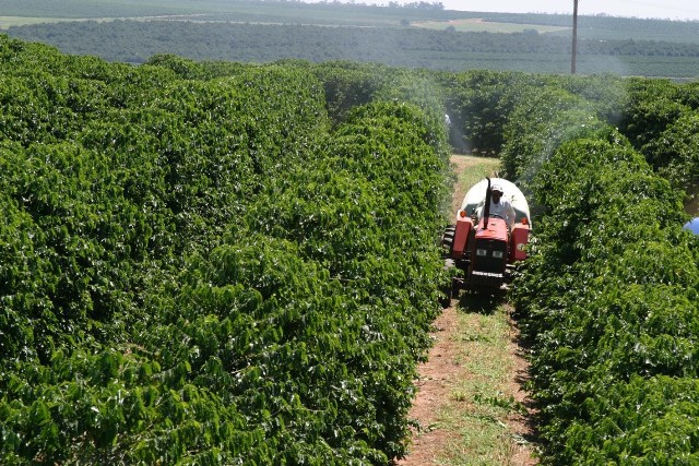 Como Fazer a Análise de Solo e Foliar no Cafezal: Passo a Passo