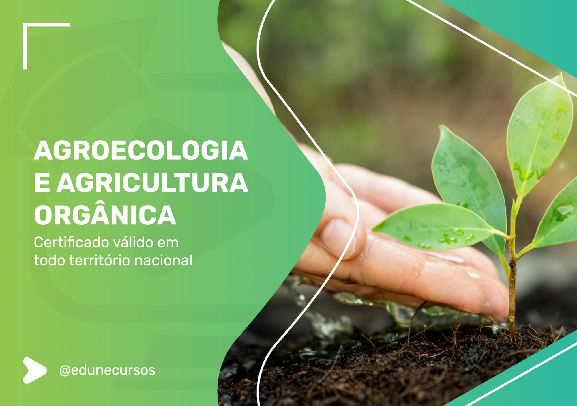 O Selo Orgânico do Brasil: Entenda a Importância e Como Obtê-lo