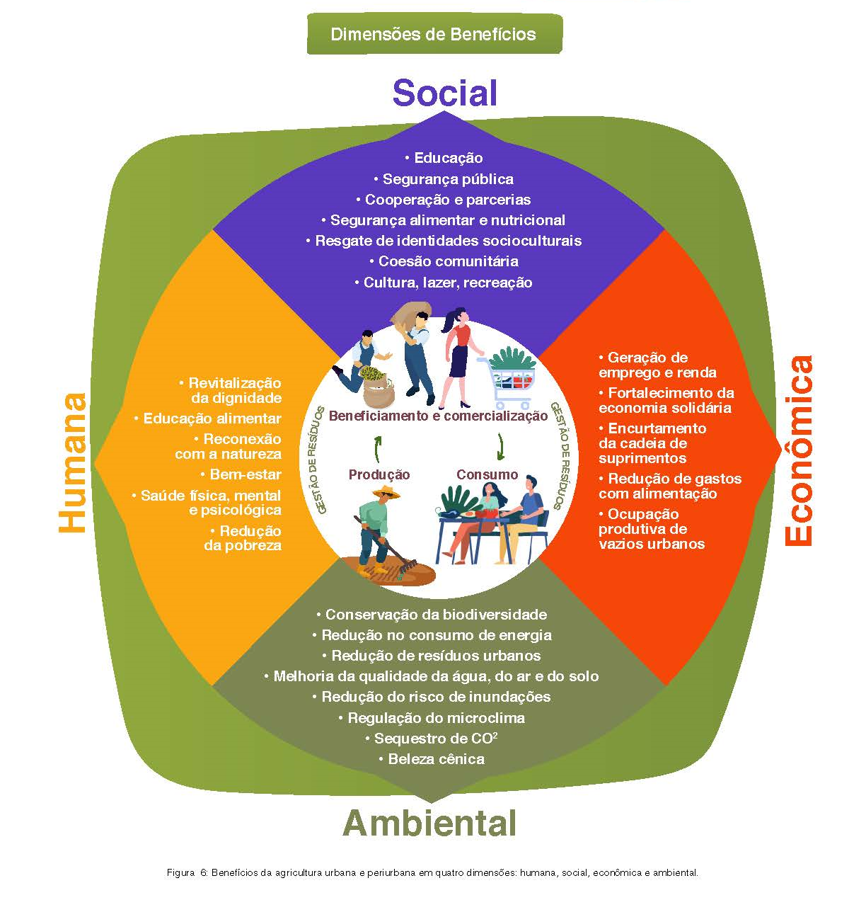 agricultura urbana e seus benefícios