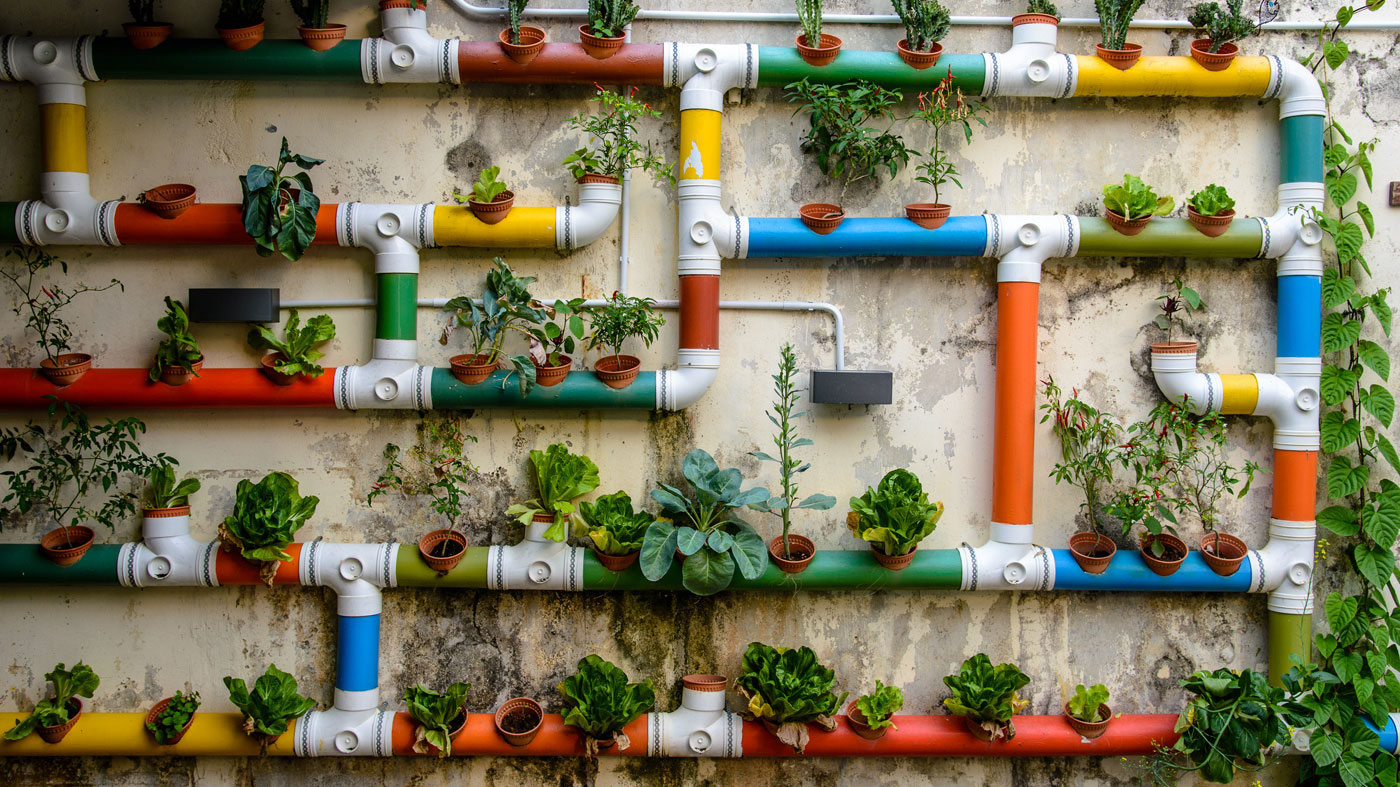 Compostagem Doméstica: Otimizando a Agricultura Urbana e Reduzindo Resíduos