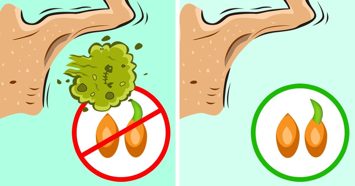 5 Receitas de Sucos Detox Ricos em Clorofila para Combater o Mau Odor