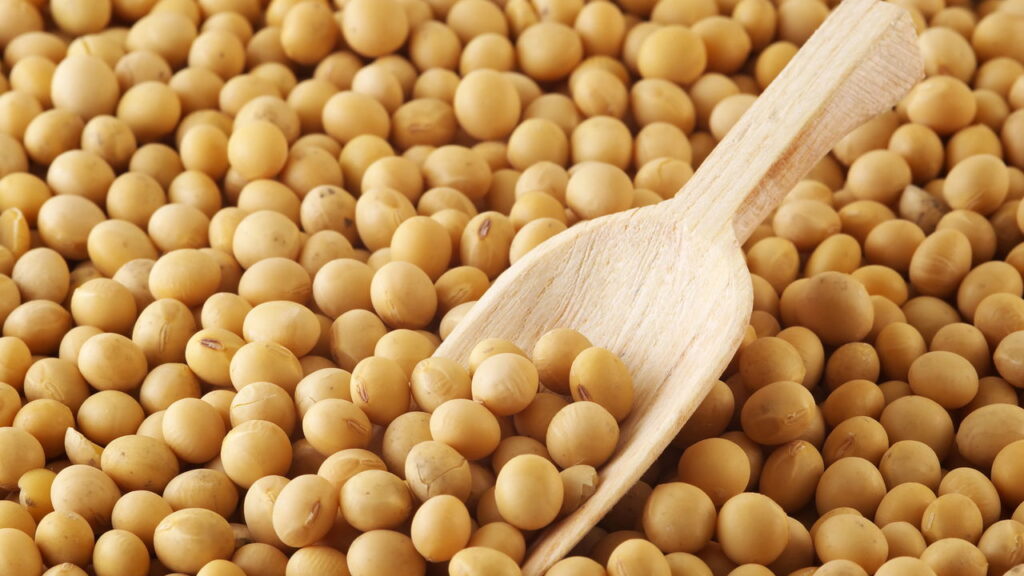 Alimentos Termogênicos e Seu Impacto na Transpiração e Odor Corporal