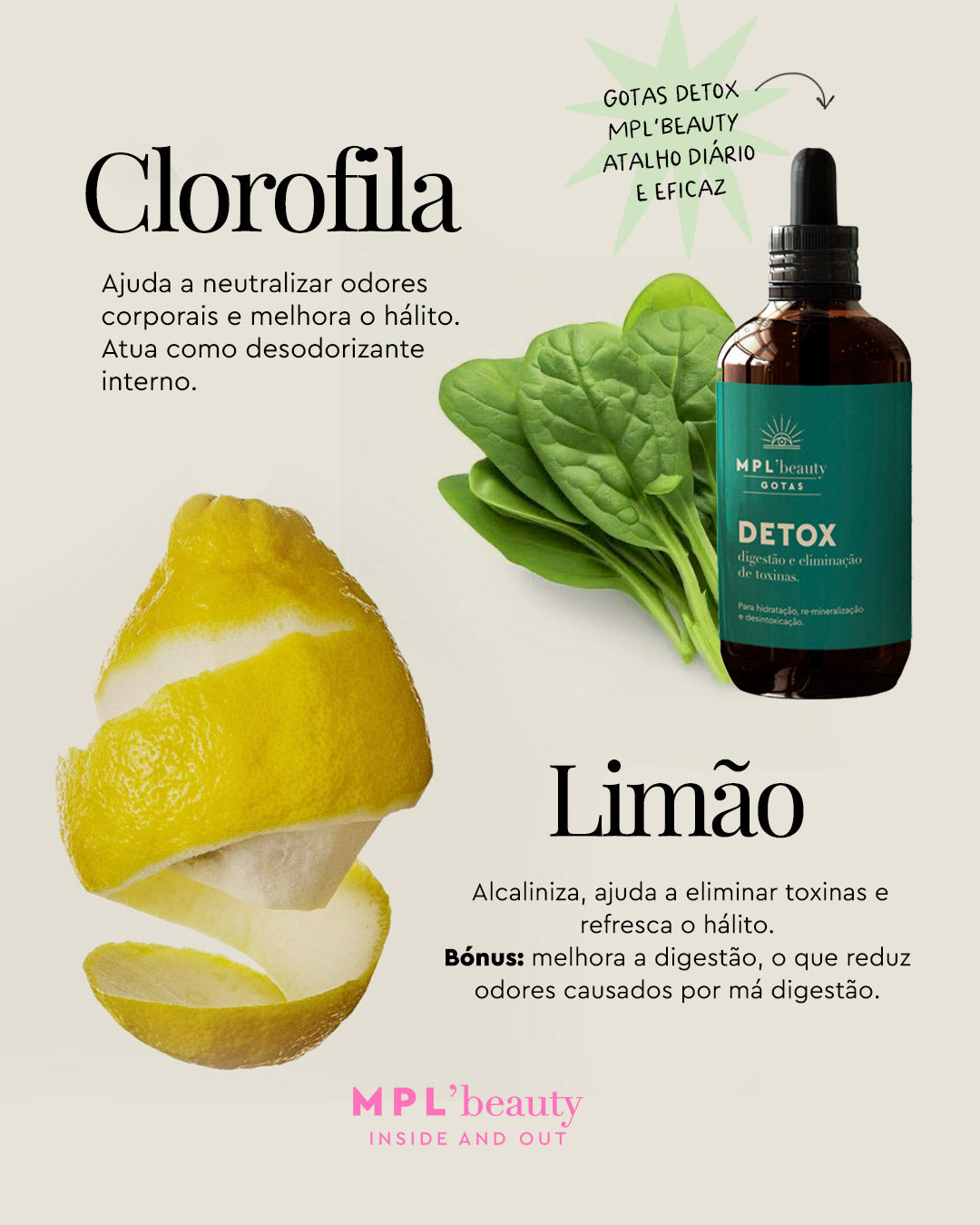 Os Benefícios da Clorofila para a Saúde e o Bem-Estar Corporal