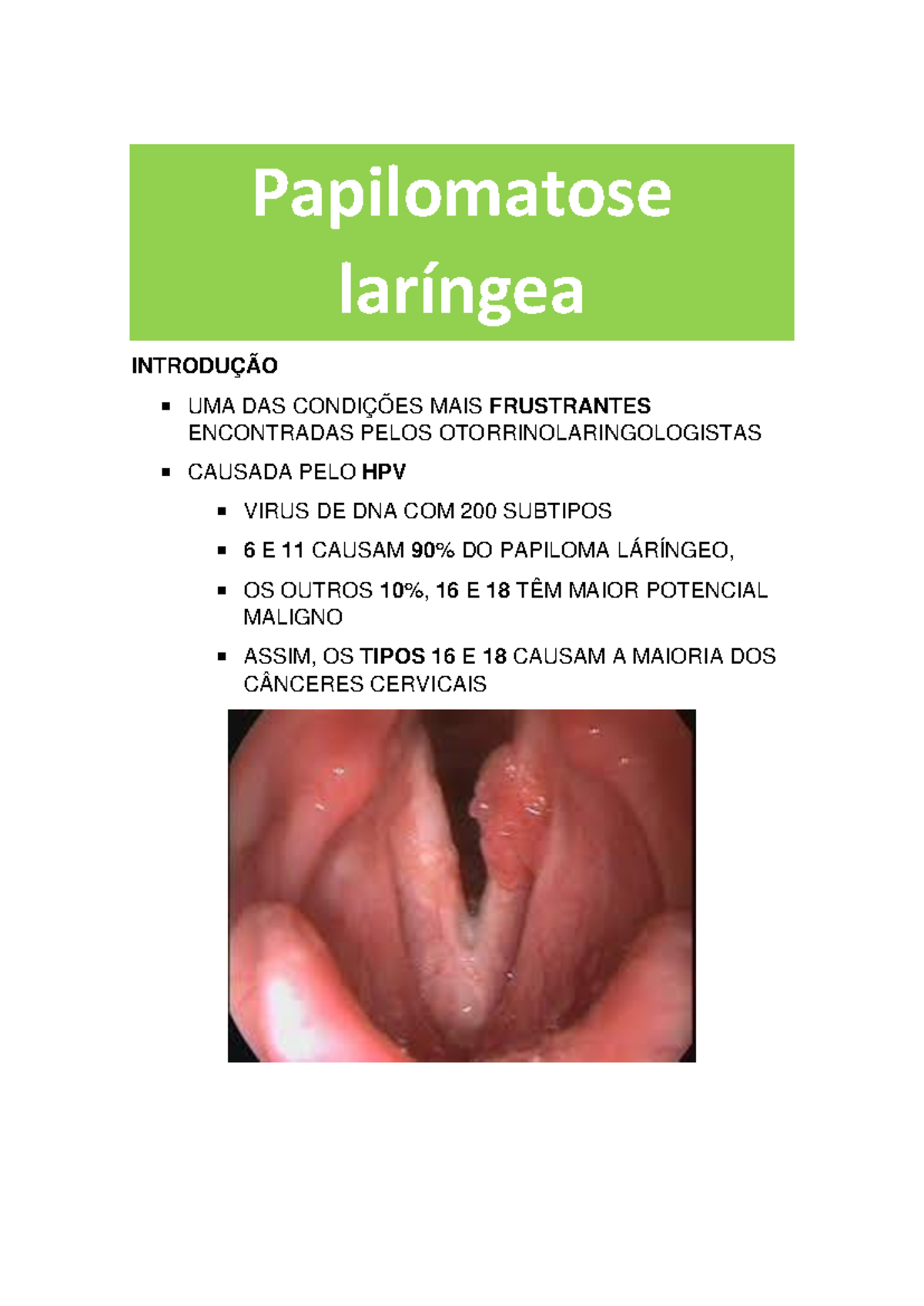 Receitas de Purês Nutritivos para Facilitação da Deglutição