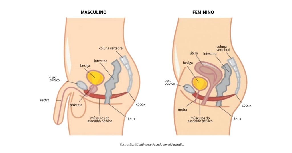 Receitas para Fortalecer o Assoalho Pélvico: Guia Completo