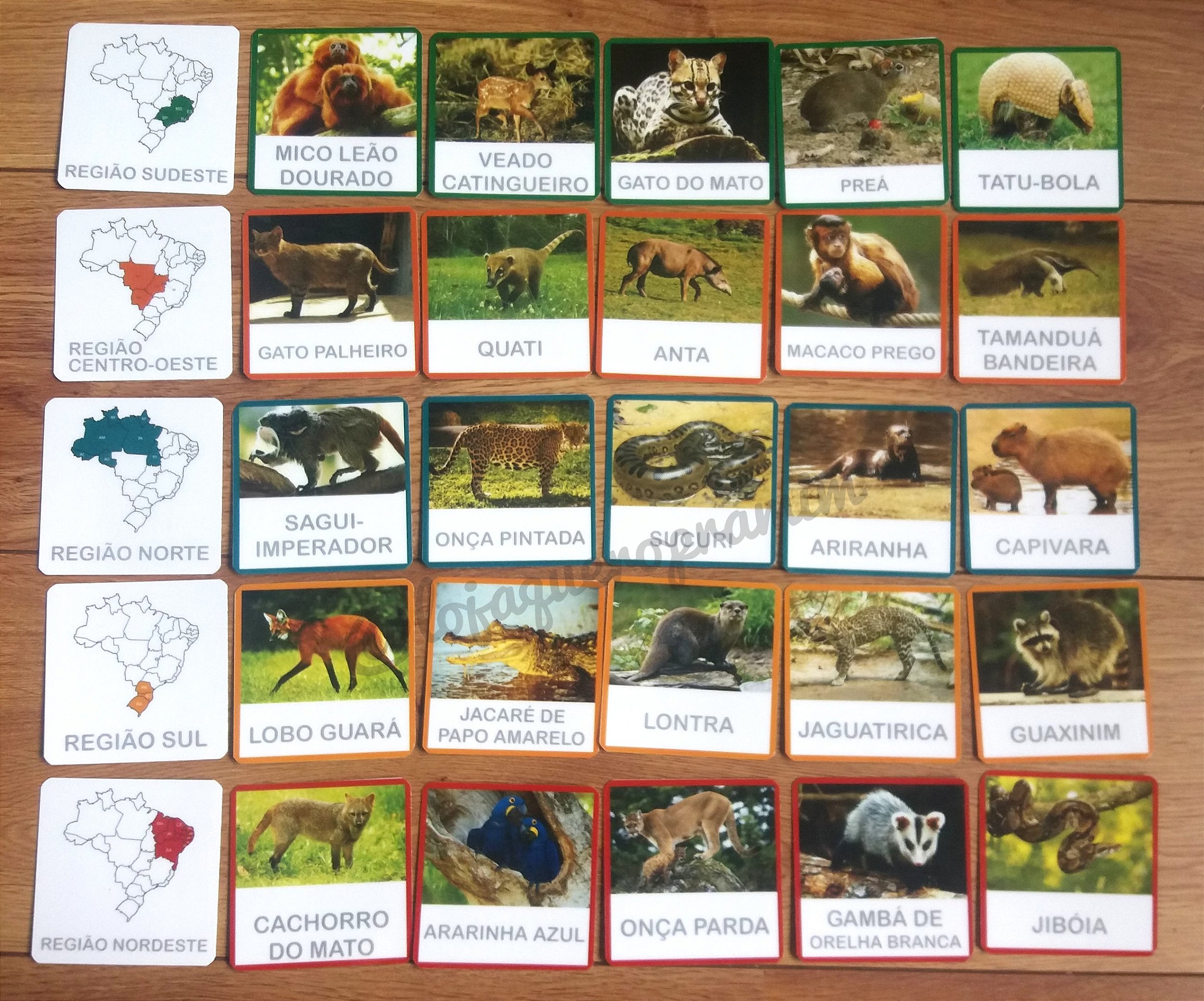 A Importância do ICMBio na Preservação da Fauna Brasileira