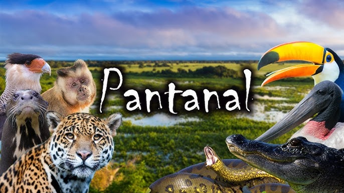 animais do pantanal