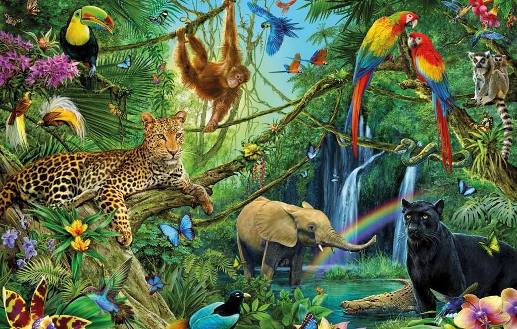 animais floresta tropical