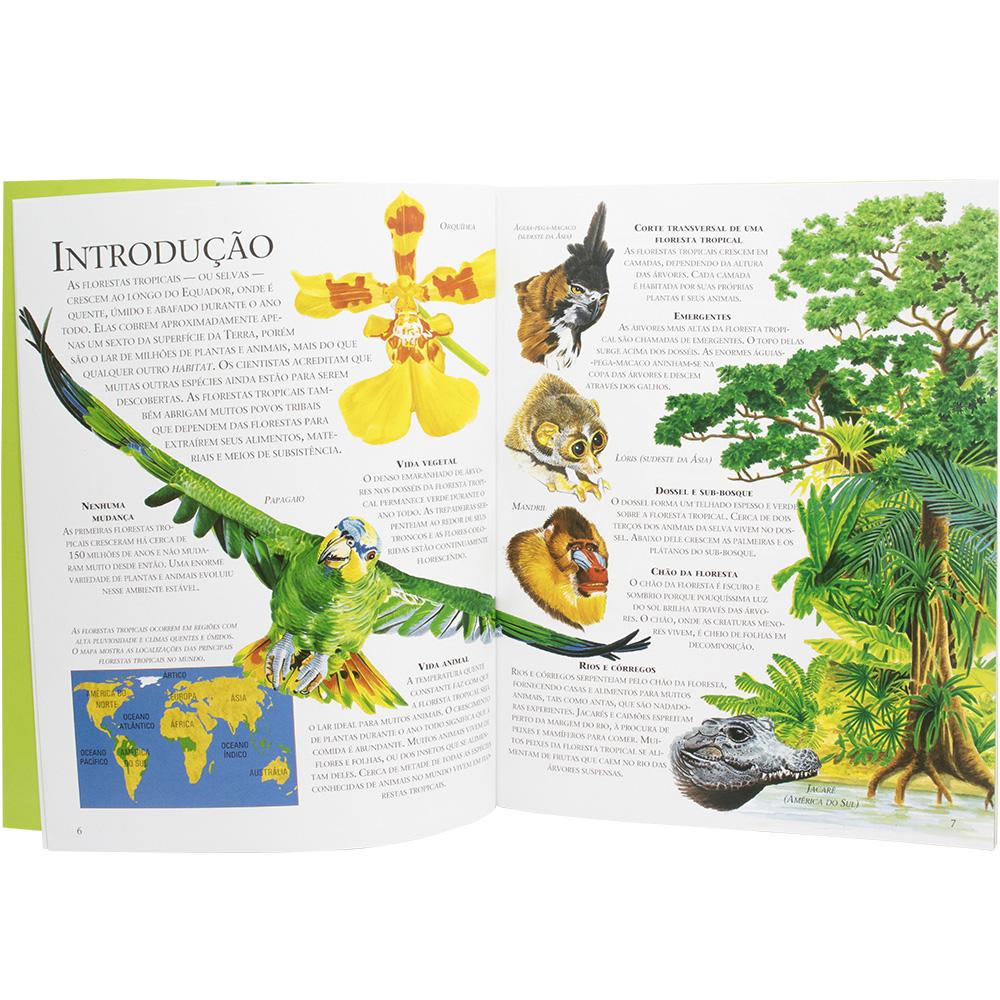 As Aves Mais Coloridas das Florestas Tropicais: Tucanos