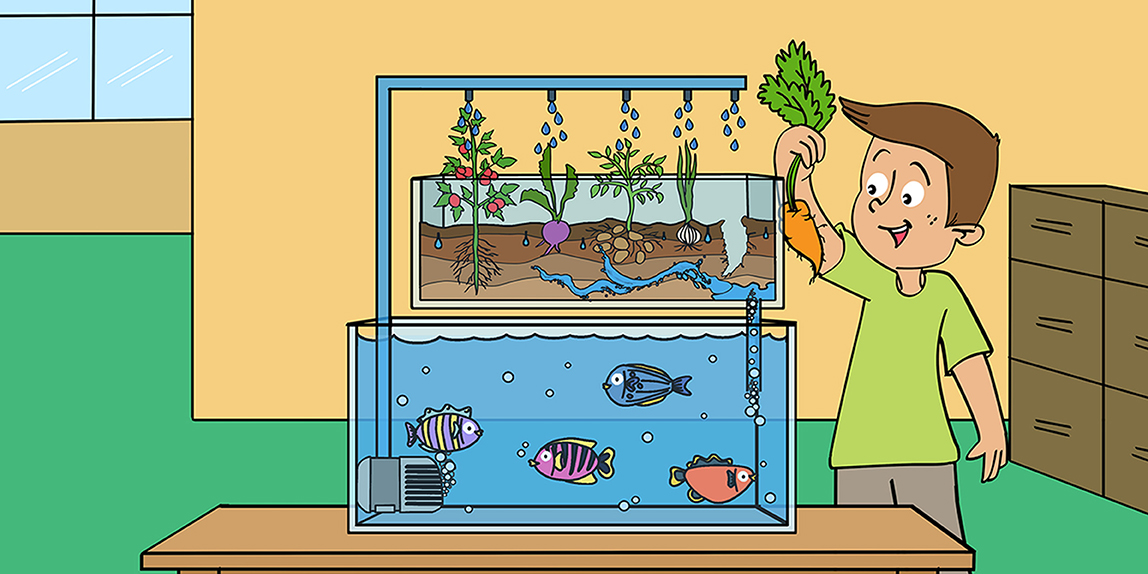 aquaponia o que é e como funciona