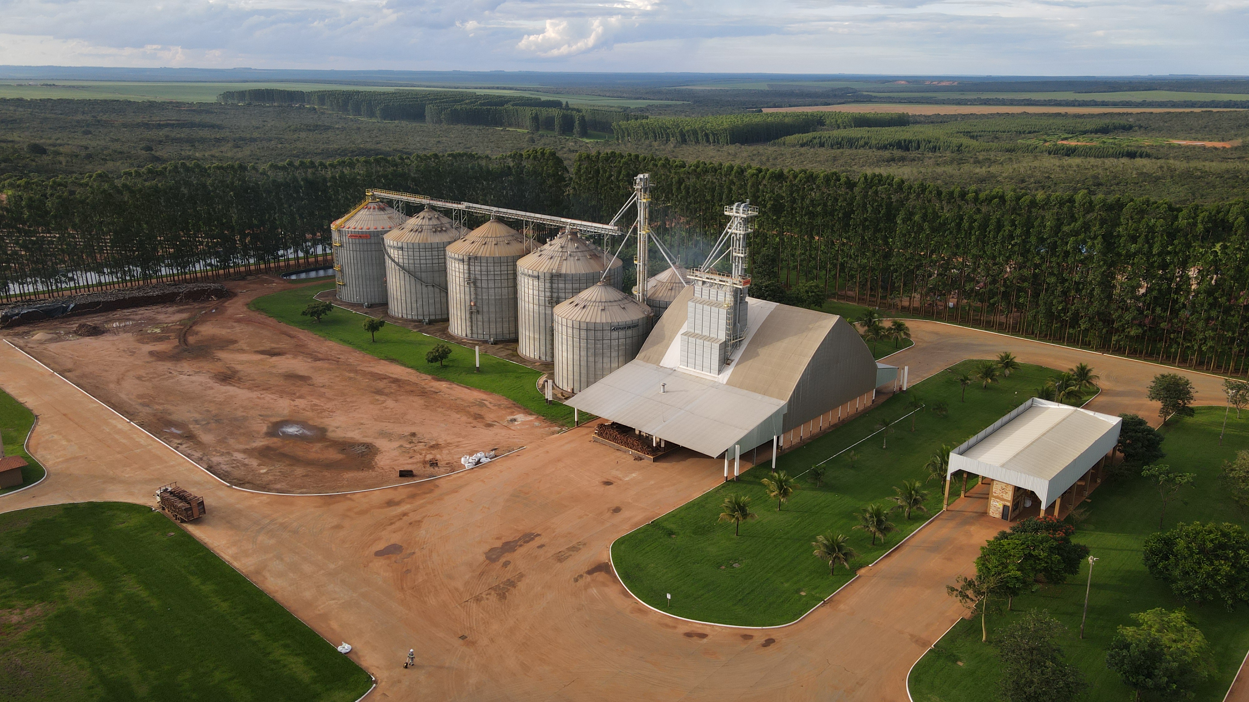 Entenda as etapas do processo de armazenagem na fazenda