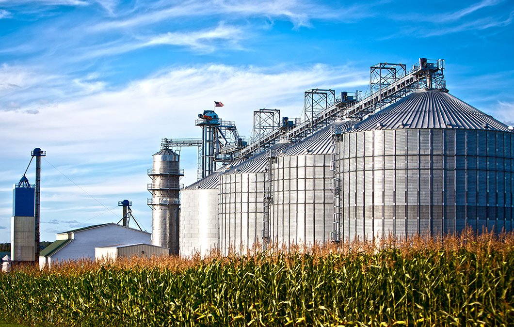 Entenda as etapas do processo de armazenagem na fazenda