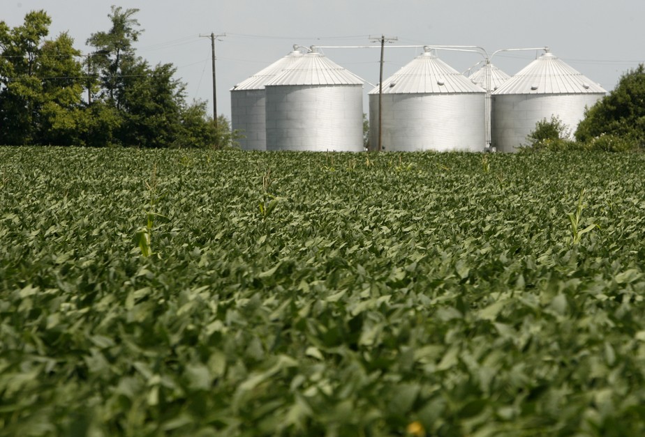 Silos-bolsa: uma alternativa econômica para armazenagem temporária