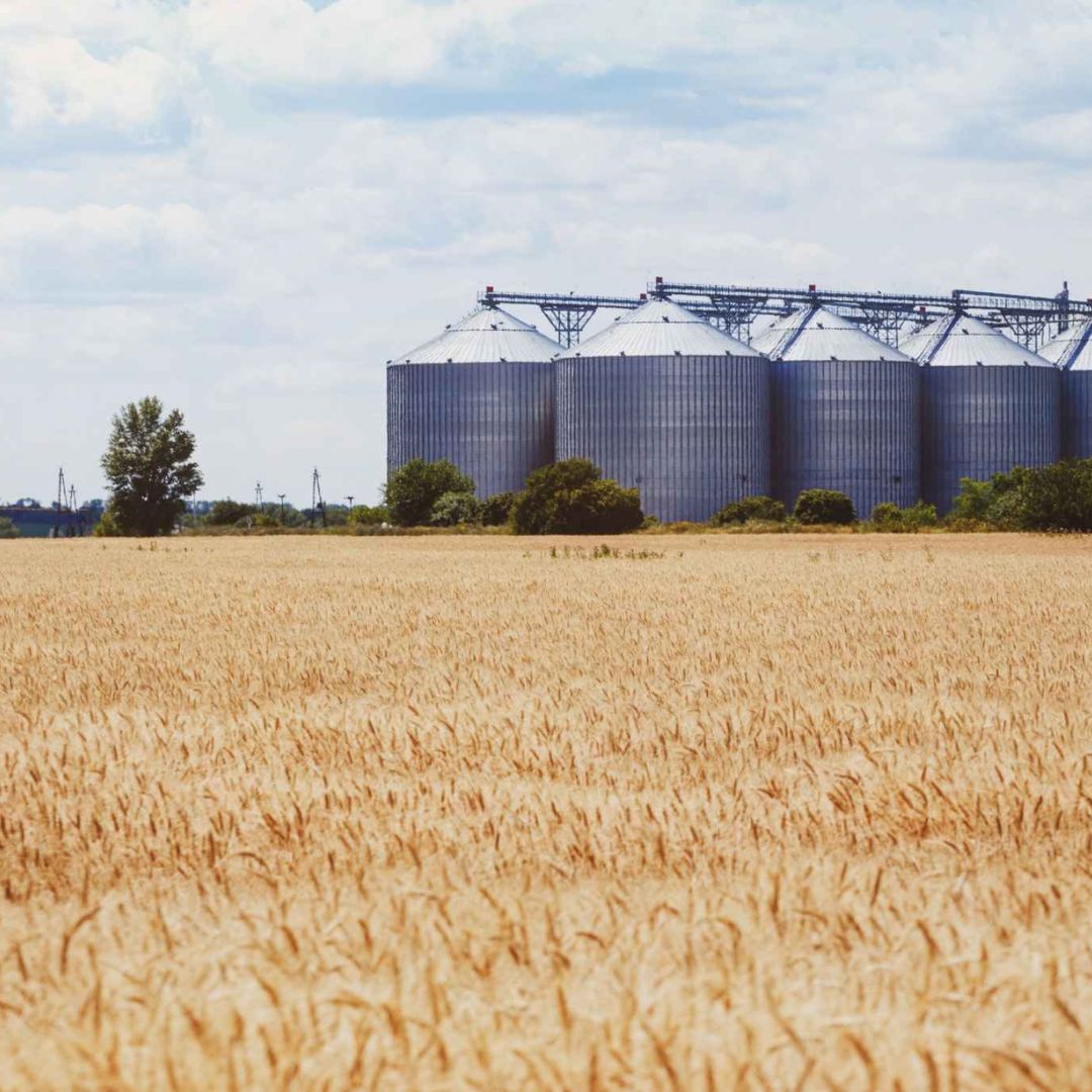Custos e benefícios da armazenagem de grãos na propriedade