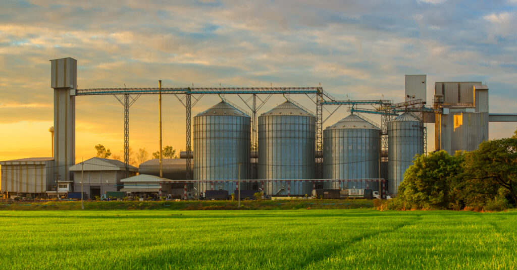 Guia completo de boas práticas para armazenagem de grãos