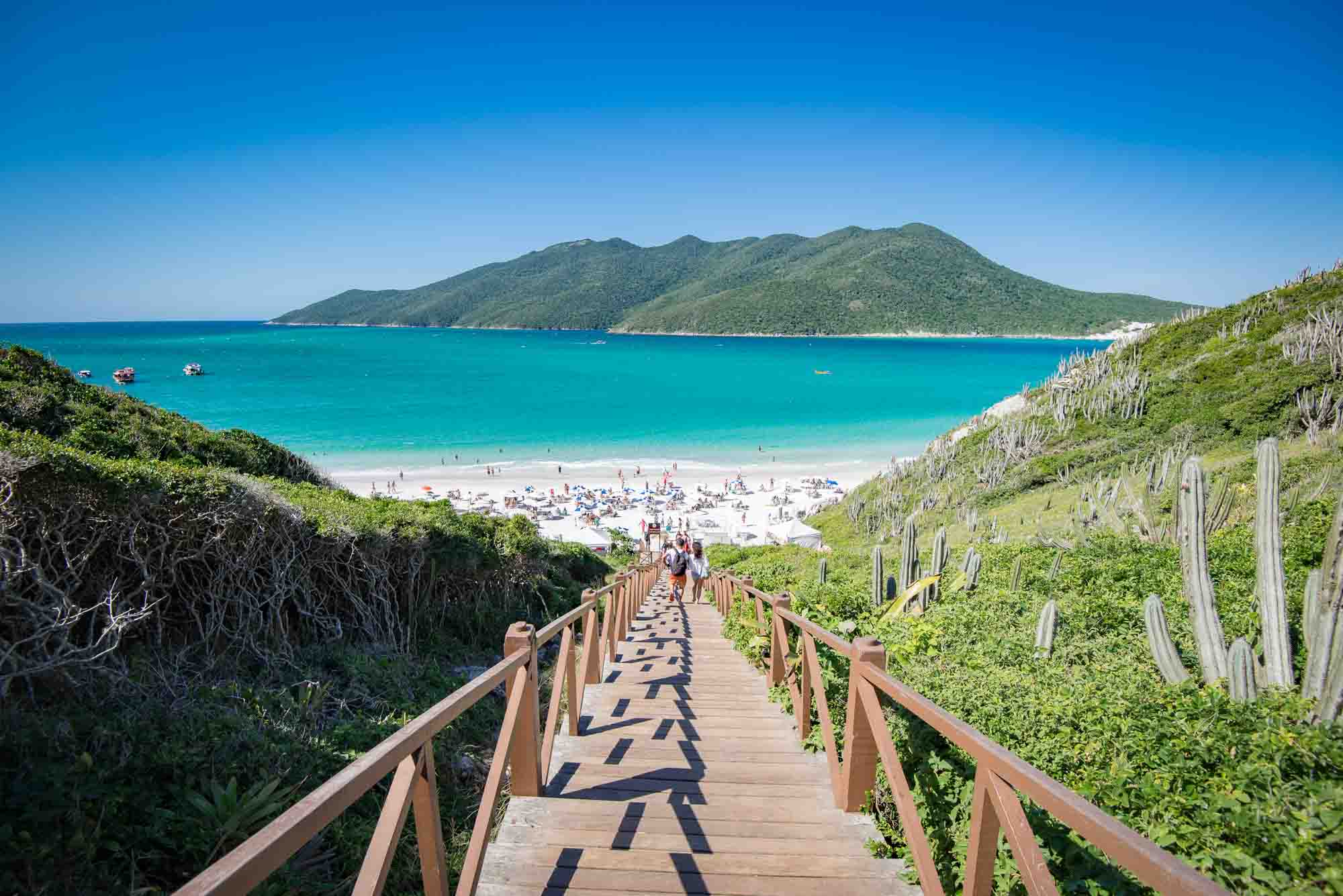 Observação de baleias em Arraial do Cabo: Quando e como ver