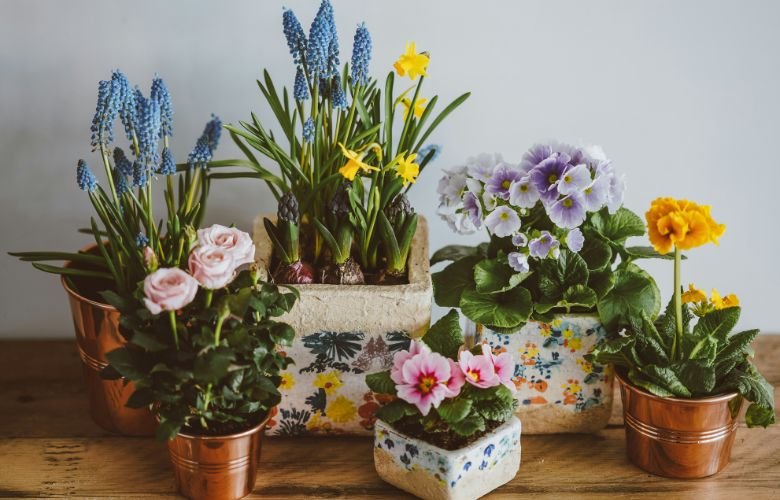 como fazer arranjo de flores secas boho chic