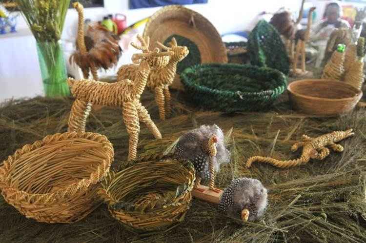 Biojoias e Acessórios Naturais: Criando Arte com Sementes e Fibras