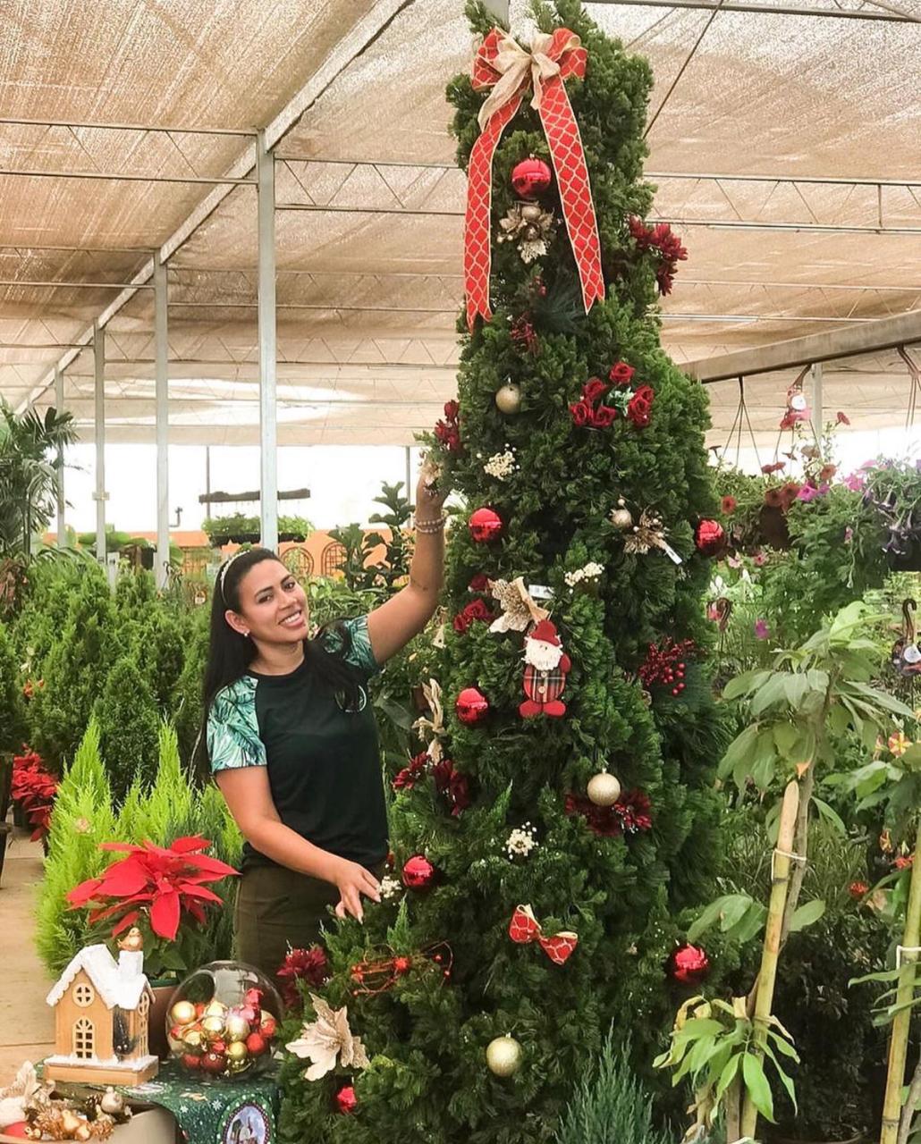 árvore de natal natural ou artificial
