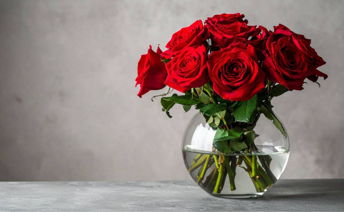 Como Cultivar a Petúnia 'Night Sky' em Casa