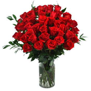 Dicas de Jardinagem para Dalias Deslumbrantes