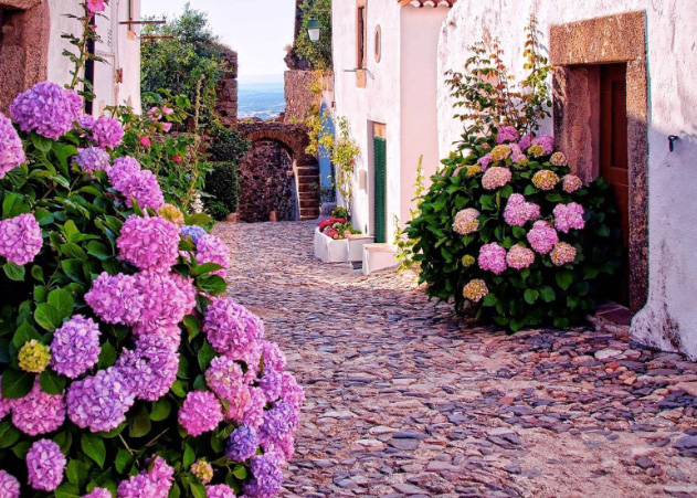 as mais belas paisagens