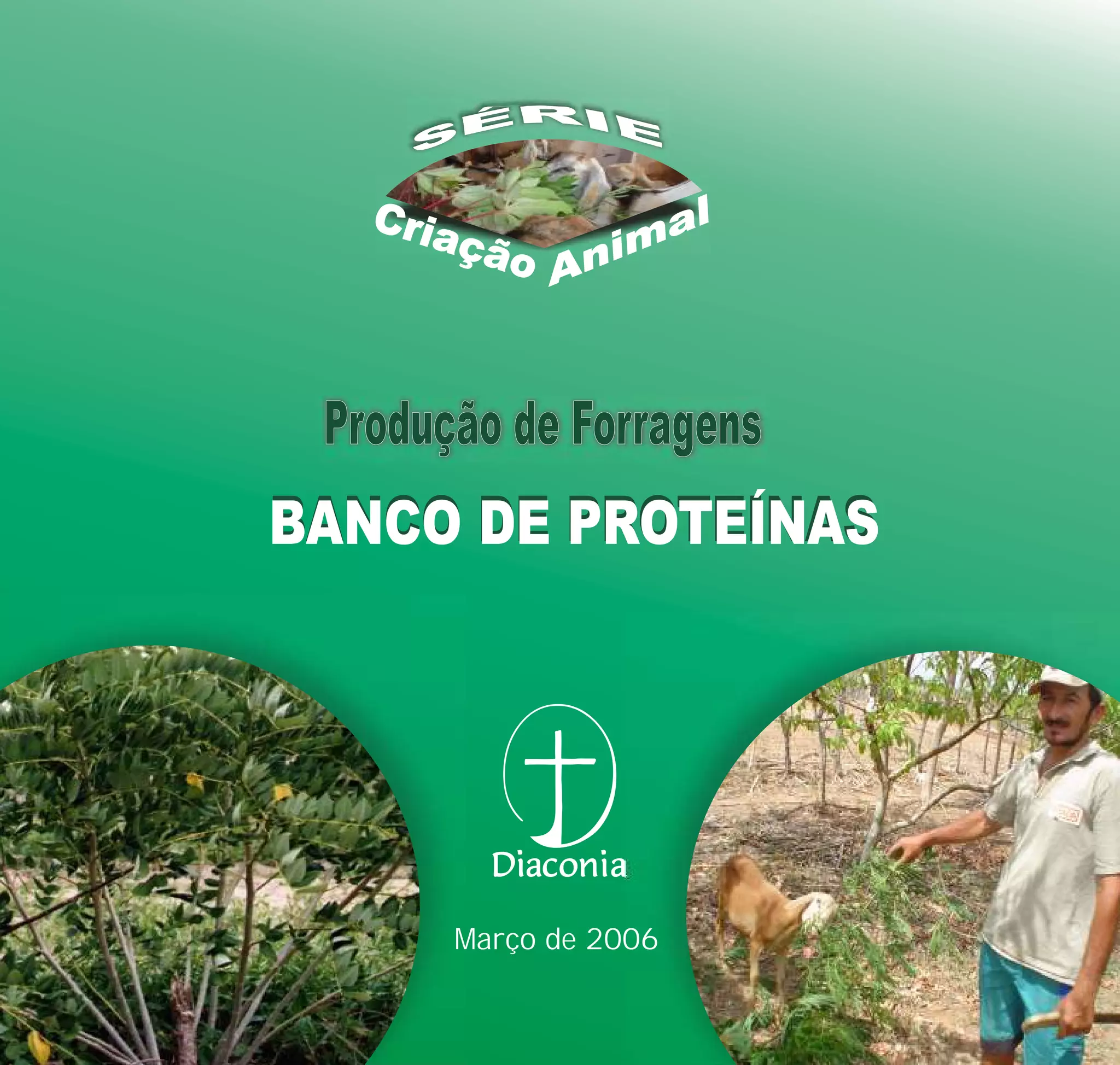 banco de proteínas na fazenda