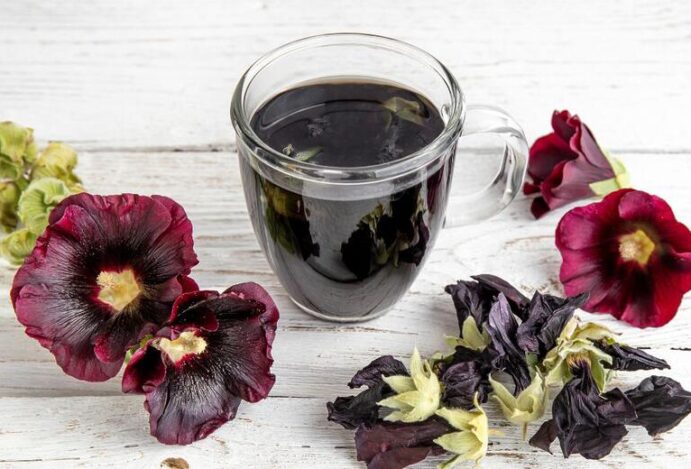 5 ideias de títulos:
1. Chá de Malva: Um Guia Completo de Benefícios e Usos Terapêuticos
2. Malva para a Pele: Como Usar Essa Planta Medicinal em Tratamentos Cutâneos
3. Alívio Digestivo com Chá de Malva: Receitas e Cuidados Essenciais
4. Propriedades Expectorantes da Malva: Combata Tosse e Bronquite Naturalmente
5. Chá de Malva: Contraindicações e Interações Medicamentosas Importantes