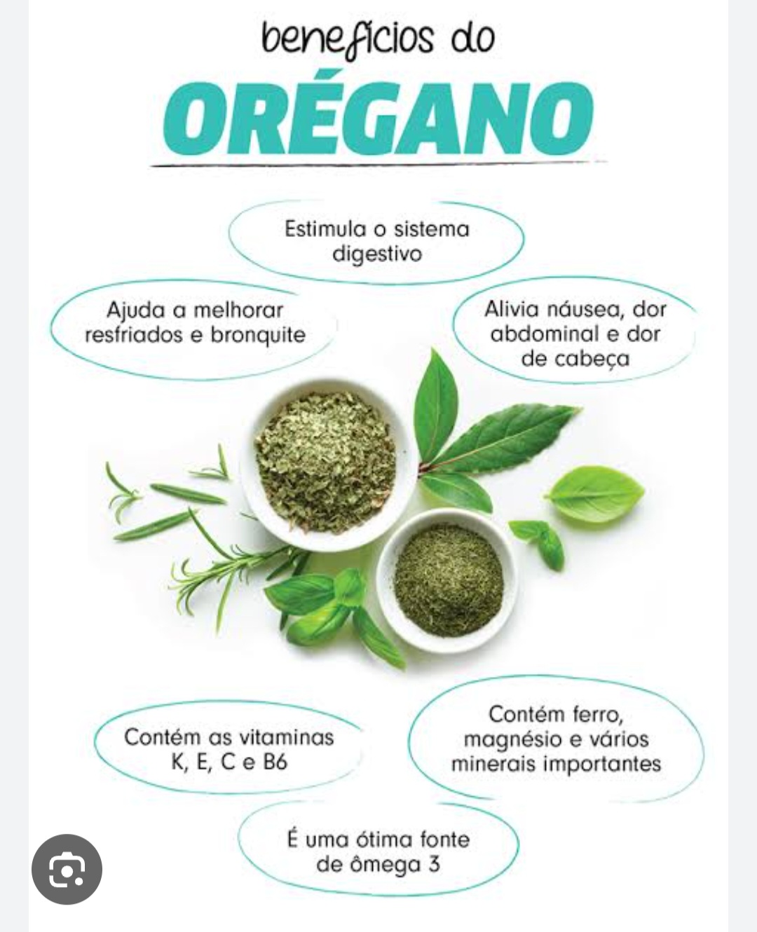 Como o Chá de Orégano Ajuda na Digestão e Combate a H. Pylori