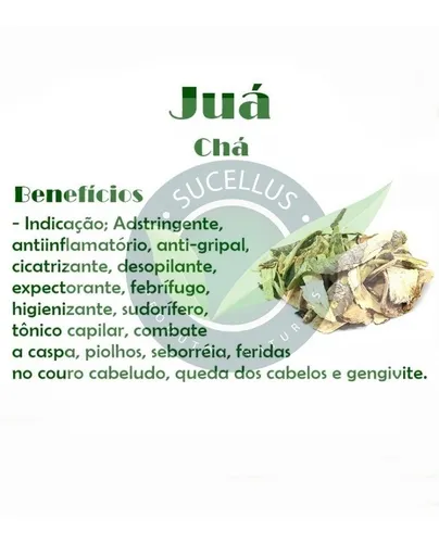 Beneficios Do Jua Para Os Cabelos