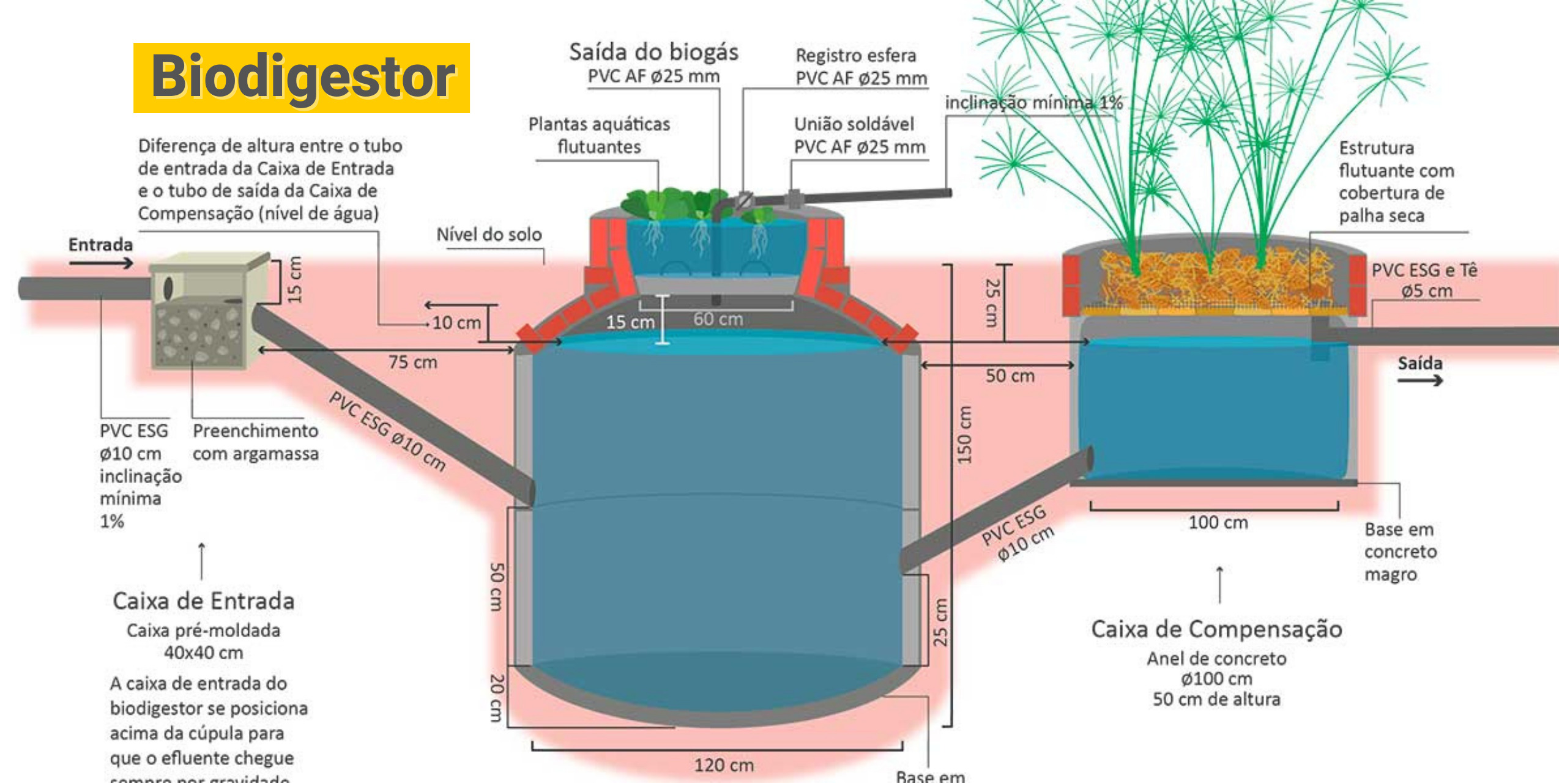 5 Usos Incríveis do Biofertilizante Produzido em Casa
