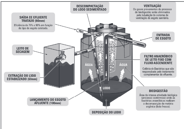 Biodigestor vs. Compostagem: Qual a Melhor Opção para Sua Propriedade?