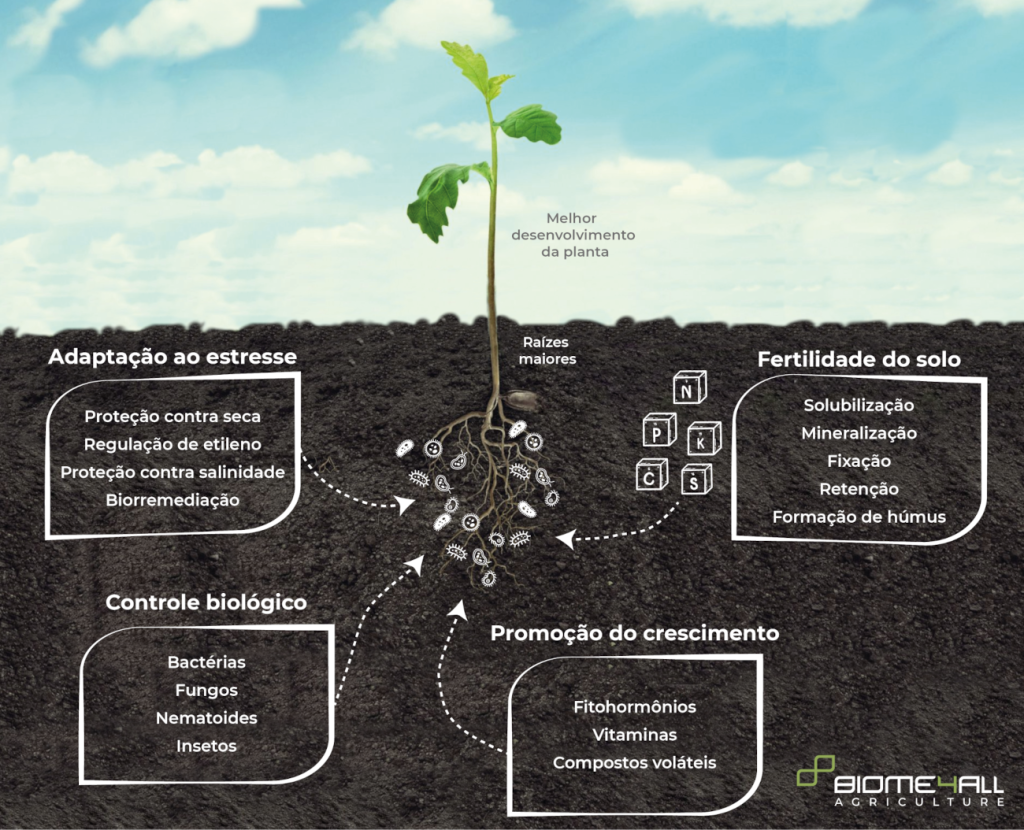 Guia Completo: Como Produzir Bioinsumos na Sua Fazenda (On Farm)