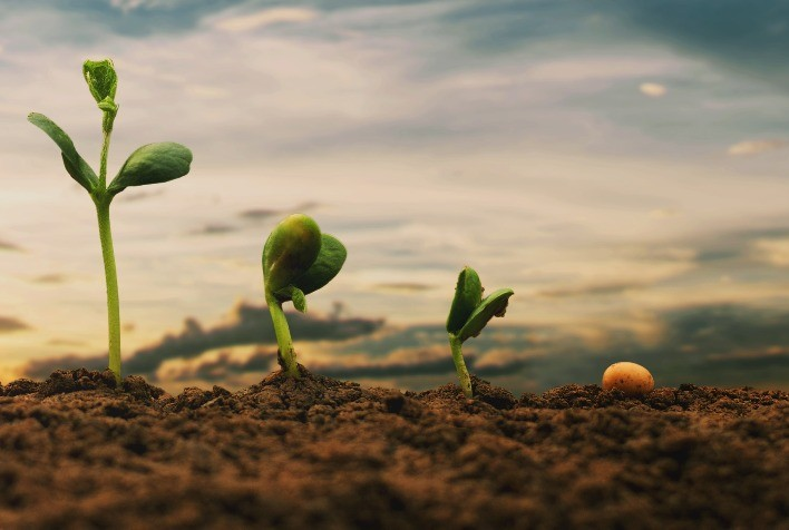 Guia Completo: Como Iniciar a Aplicação de Bioinsumos na Sua Cultura