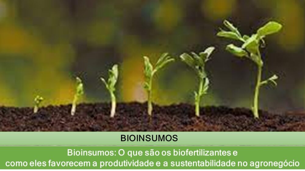 As Principais Empresas de Bioinsumos no Brasil: Onde Encontrar Soluções Biológicas