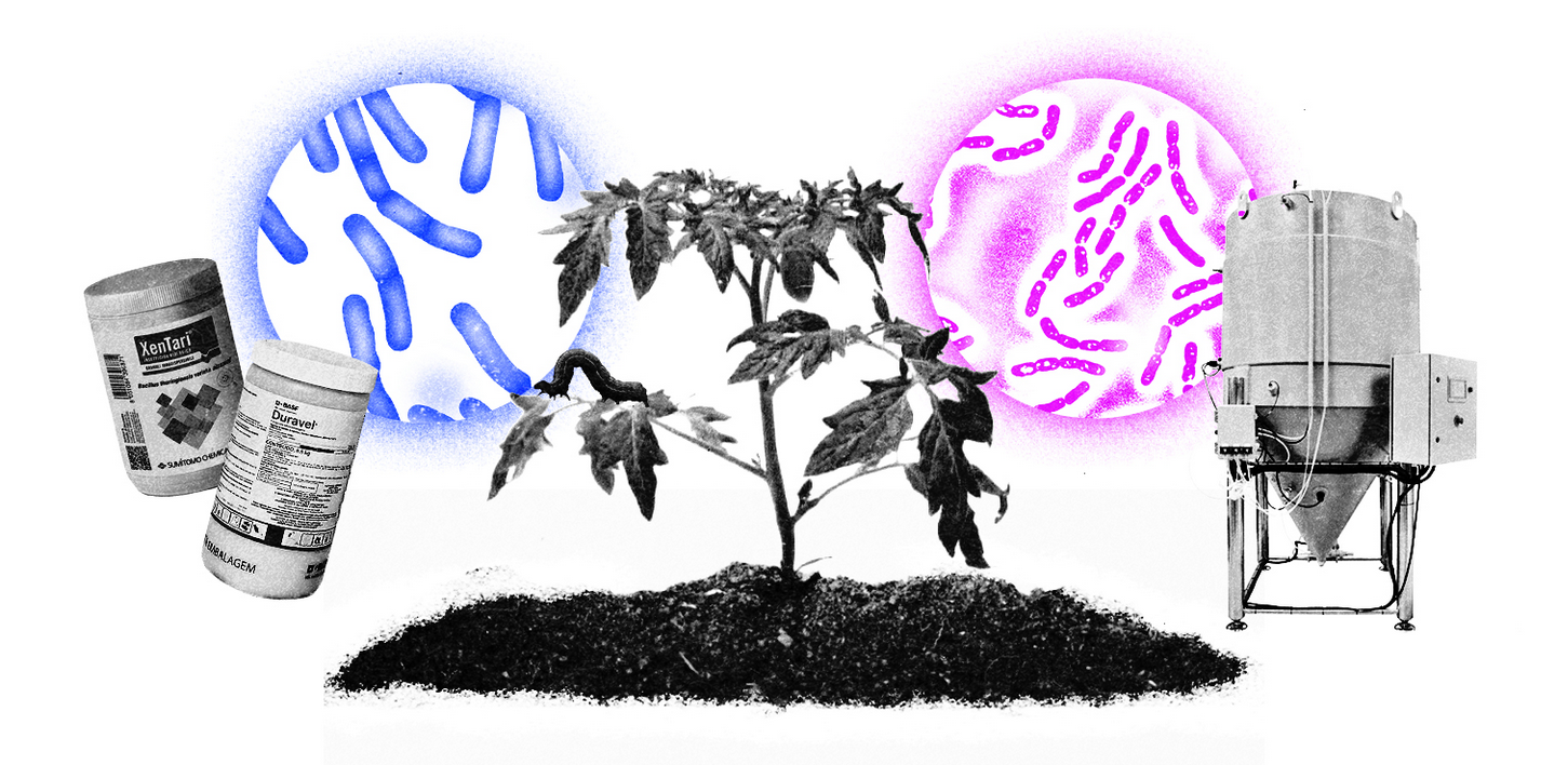 Regulamentação de Bioinsumos no Brasil: O Que o Produtor Precisa Saber