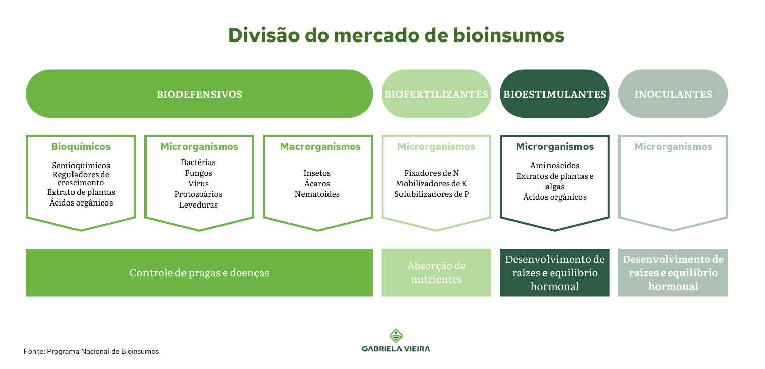 Guia Completo: Como Iniciar a Aplicação de Bioinsumos na Sua Cultura